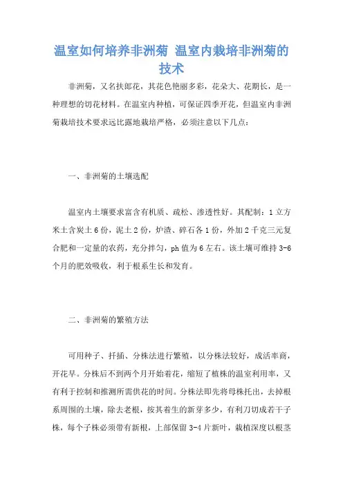 温室如何培养非洲菊 温室内栽培非洲菊的技术