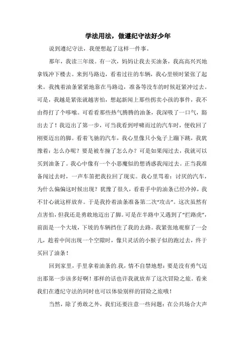 学法用法,做遵纪守法好少年