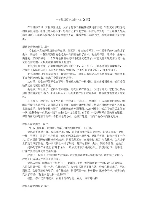 一年级观察小动物作文【6篇】