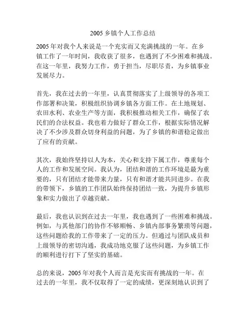 2005乡镇个人工作总结