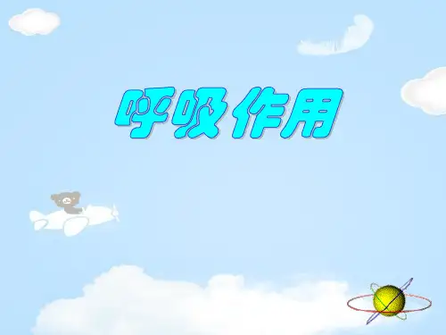 《呼吸作用》PPT课件【优质课件】