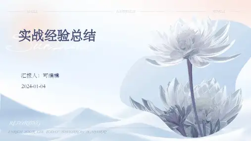 实战经验总结