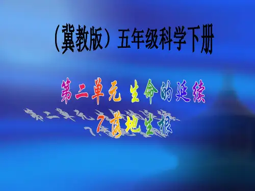 (五下)科学优秀课件-2.7 落地生根 ｜冀教版 PPT(20页)