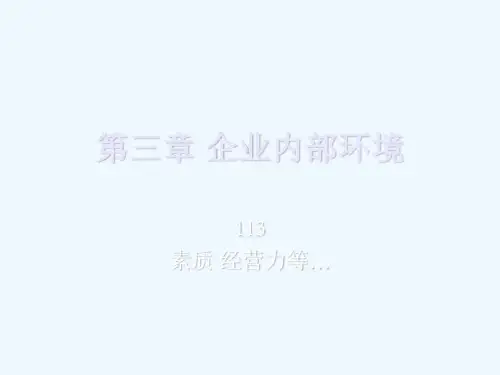 企业内部环境