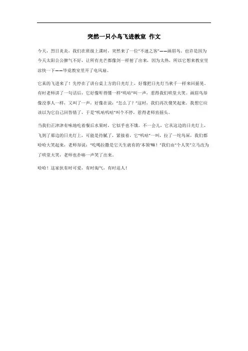 上课时突然一只小鸟飞进教室作文300字