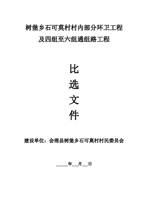 小项目比选文件样本