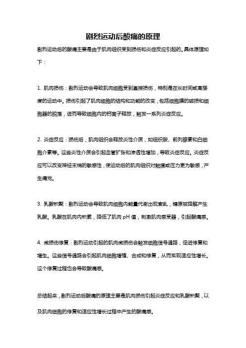 剧烈运动后酸痛的原理