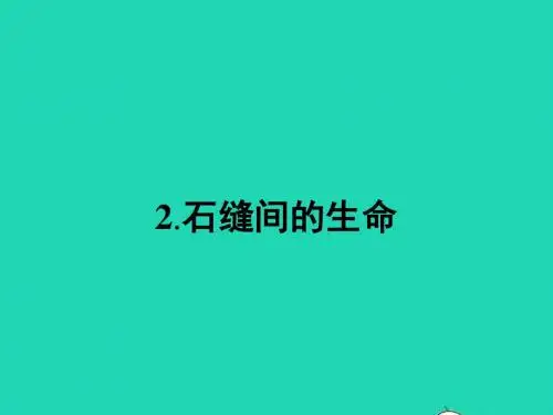 九年级语文下册 第一单元 2 石缝间的生命课件 语文版