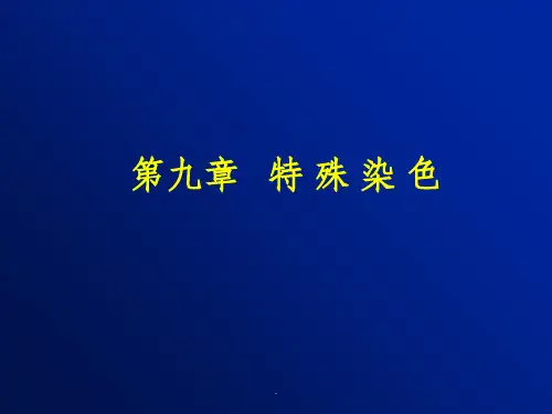 -特殊染色