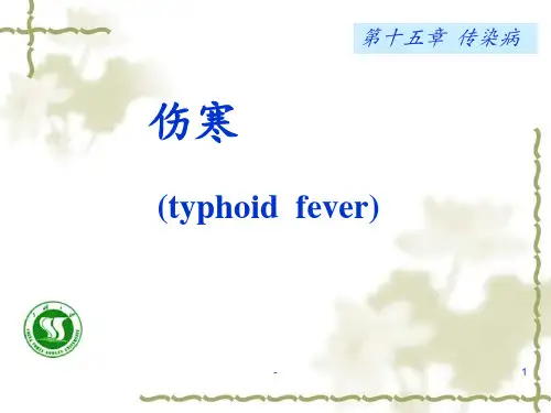 伤寒菌痢PPT课件
