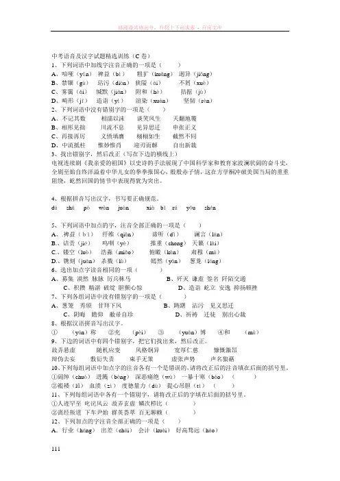 中考之语音及汉字试题精选训练