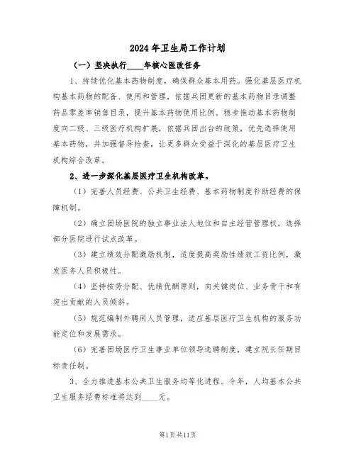 2024年卫生局工作计划（五篇）