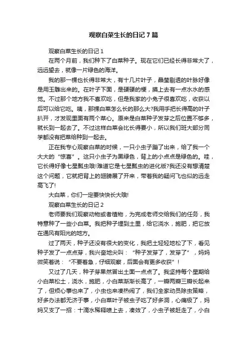观察白菜生长的日记7篇