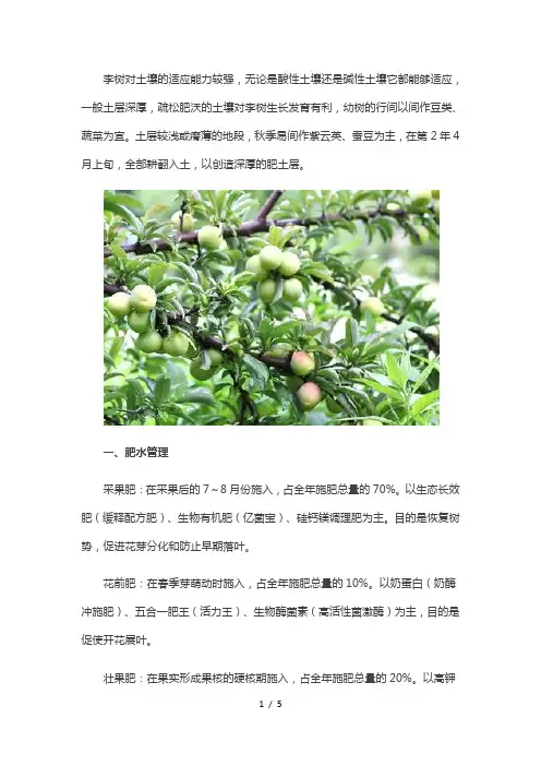李子树的管理技术