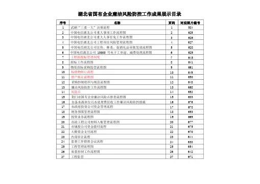 湖北省国有企业廉洁风险防控工作成果展示目录及流程图(1)(12.1.30)-招标办