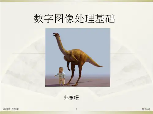 《数字图像处理基础》PPT课件