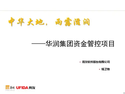 华润集团资金项目介绍