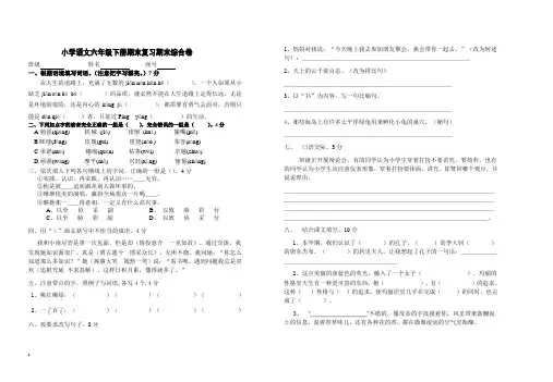 小学语文六年级下册期末复习综合卷