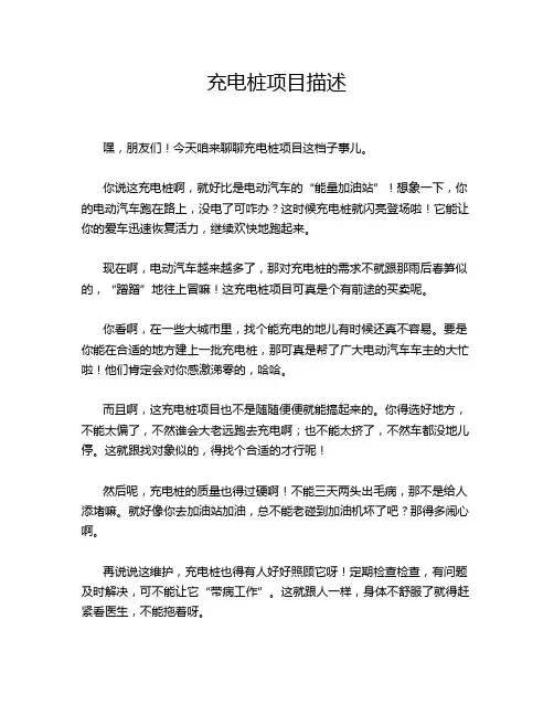 充电桩项目描述