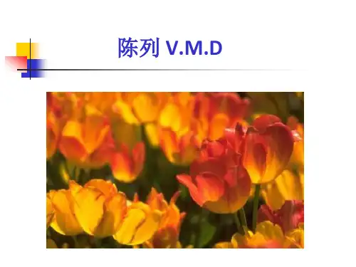 陈列VMD