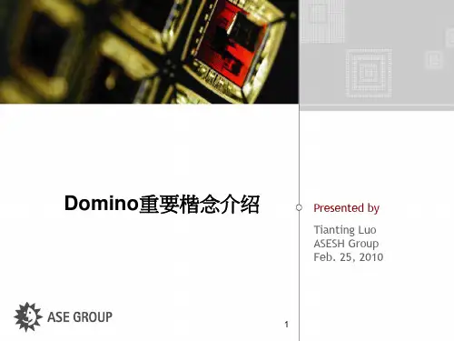 Domino重要概念介绍