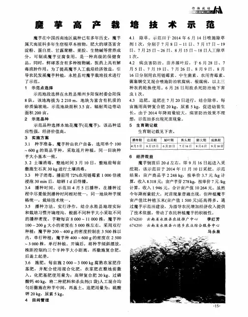 魔芋高产栽培技术示范
