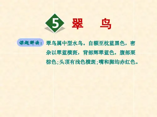部编人教版三年级下册语文精品资料：5.翠鸟