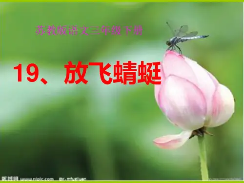 优质课件19、放飞蜻蜓ppt