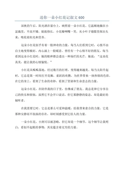 送你一朵小红花记叙文600
