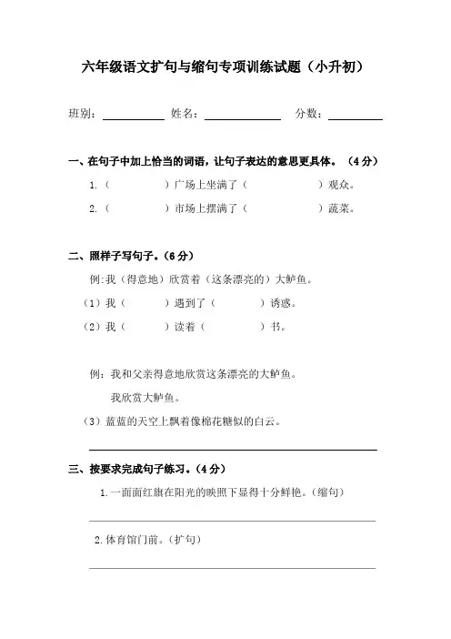 六年级语文扩句与缩句专项训练试题(小升初)附答案
