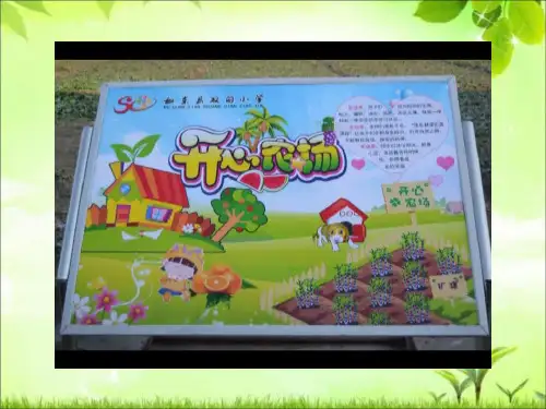 四年级上册科学课件-4.2 怎样搭配食物｜苏教版 (共24张PPT)