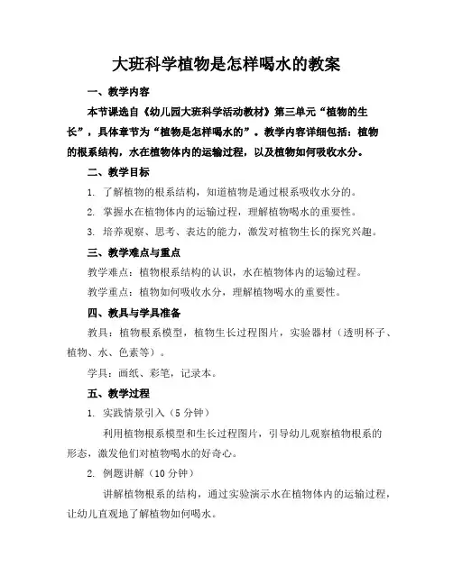 大班科学植物是怎样喝水的教案