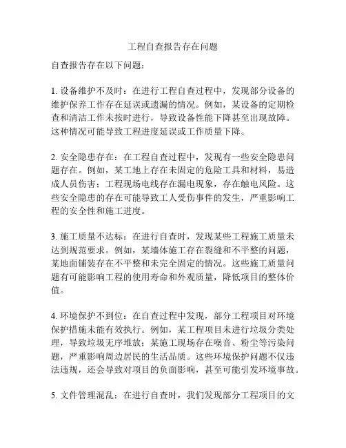 工程自查报告存在问题