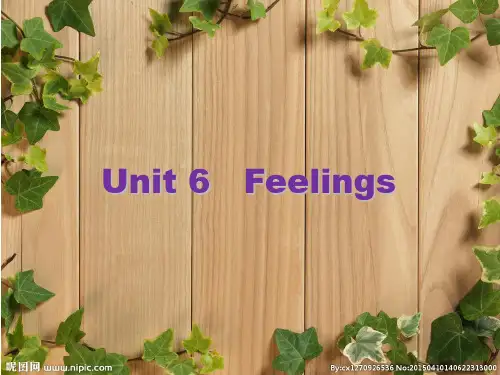闽教版小学英语五年级下册unit6-Feelings课件