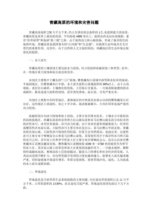 青藏高原的环境和灾害问题