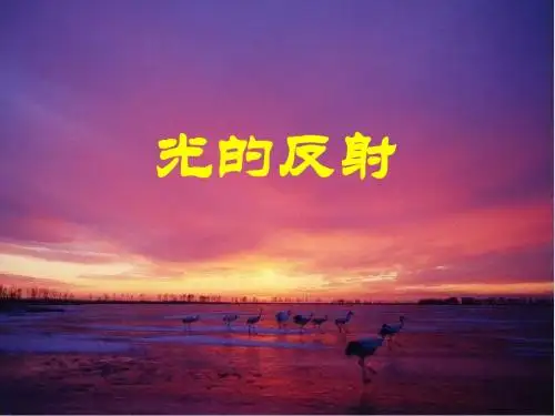 光的反射作图训练