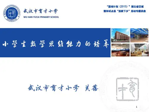 小学生数学思维能力的培养(课堂PPT)