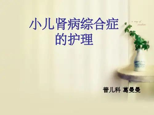 小儿肾病综合征护理ppt课件