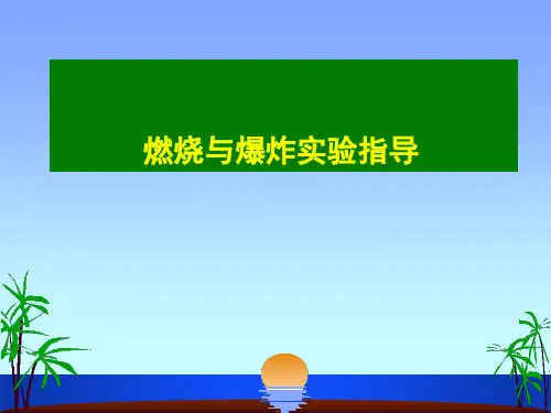燃烧热的测定