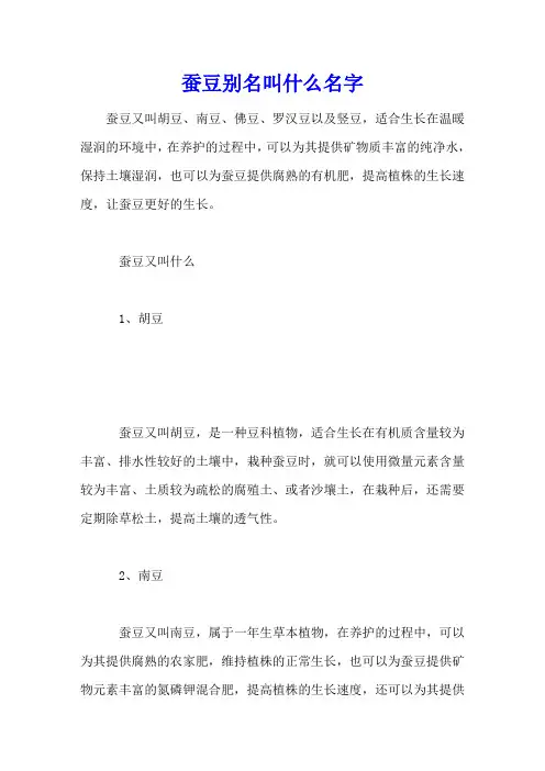 蚕豆别名叫什么名字