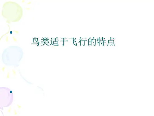 【初中生物】鸟类适于飞行的特点PPT课件