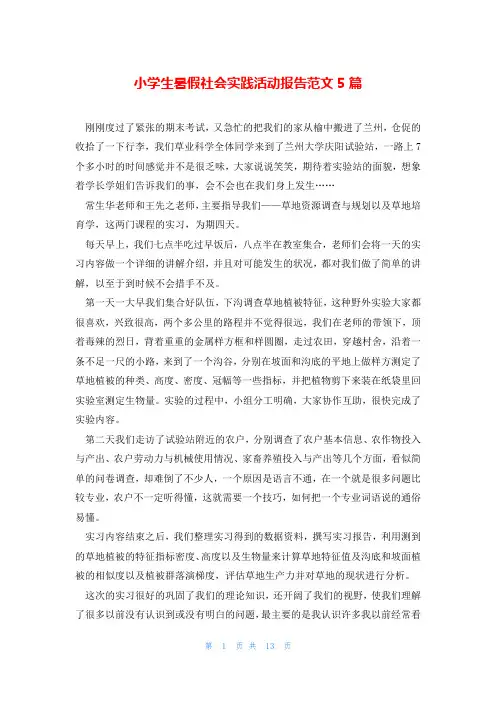 小学生暑假社会实践活动报告范文5篇