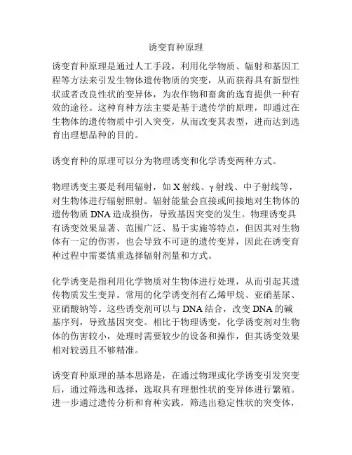 诱变育种原理