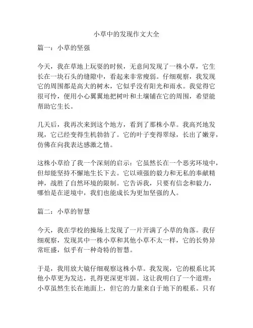 小草中的发现作文大全