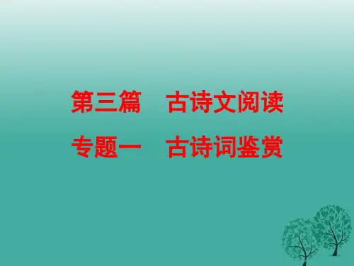 中考语文复习第三篇专题一古诗词鉴赏课件
