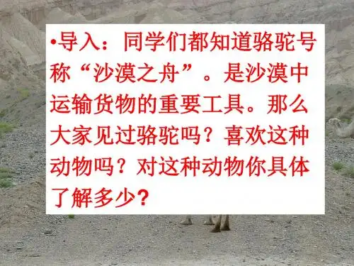 新语文版七年级语文下册课件：9骆驼寻宝记(共71张PPT)