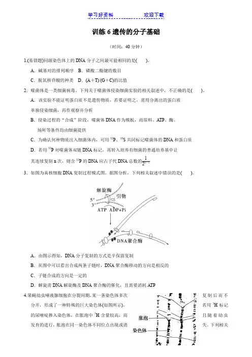 高考生物二轮复习训练专题 遗传的分子基础