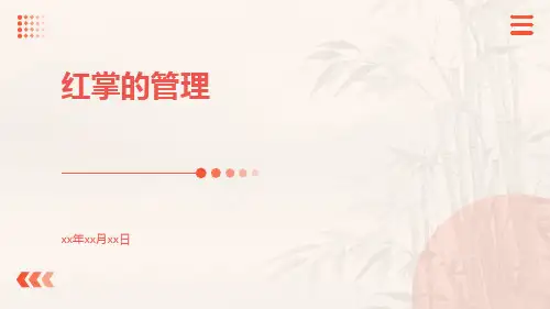 红掌的管理