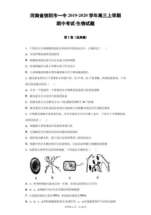 河南省信阳市一中2019-2020学年高三上学期期中生物试题(带答案)