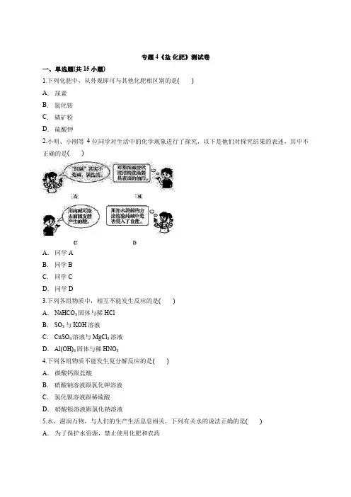 人教版初中化学2020年中考专题复习专题《盐 化肥》考试测试卷(解析版)